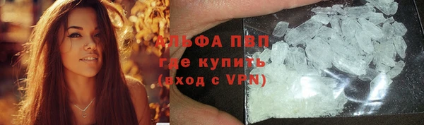 PSILOCYBIN Аркадак