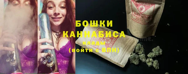 PSILOCYBIN Аркадак