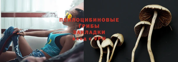 PSILOCYBIN Аркадак