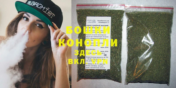 PSILOCYBIN Аркадак