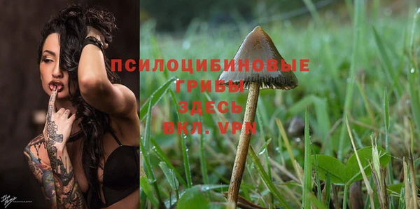 метадон Арсеньев