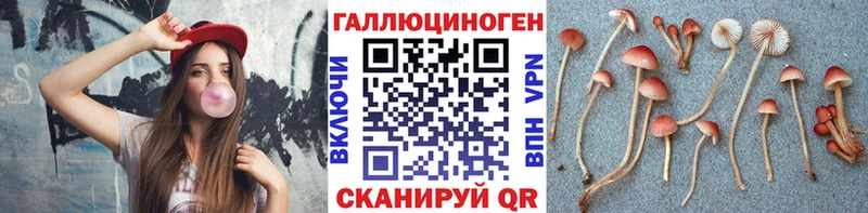 закладка  Уржум  Галлюциногенные грибы мицелий 